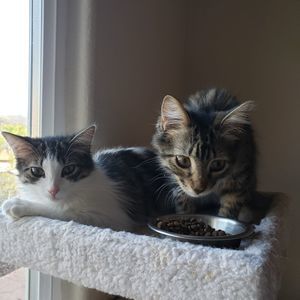 Meet your Posher, Barbara